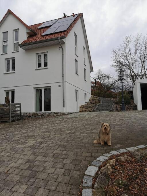 Rauszeit Nittendorf